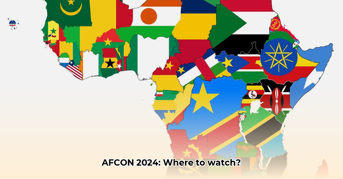 africa-cup-of-nations-live